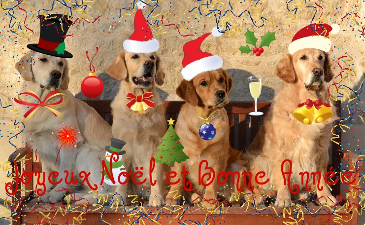 BONNE ANNEE BONNE ANNEE